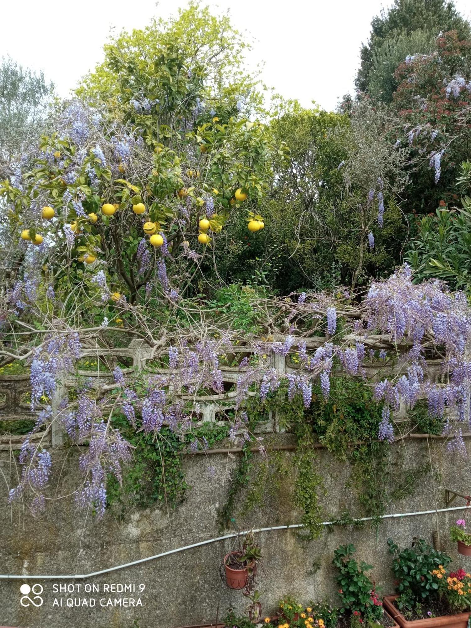 Belvedere Di Caiazzo Exterior foto